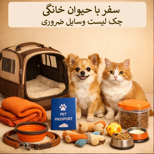 Traveling with Your Pet: Essential Checklist