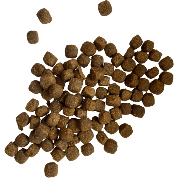   PUPPY JUNIOR All Breeds Chicken & Rice 3kg