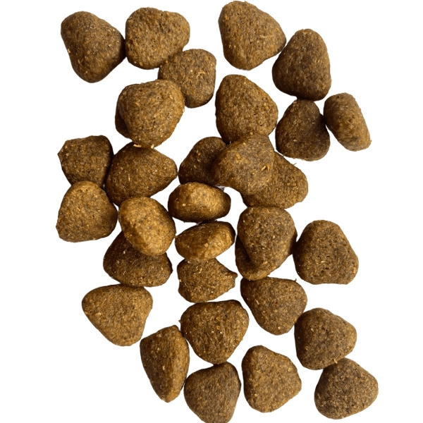ADULT DOG ALL BREEDS 15kg